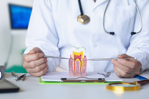 Best Emergency Dentist for Lost Fillings or Crowns in Cedar Glen West, NJ
